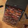 Excalibur 10 Tray Select Digital Dehydrator in Stainless Steel (DH10SCSS33G)