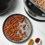 Fritaire Self-Cleaning Glass Bowl Air Fryer in Midnight Black