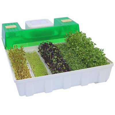 Easygreen Automatic Sprouter EGL 55