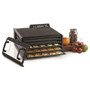 Excalibur 5 Tray Dehydrator with Digital Controller 4548CDB