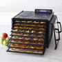 Excalibur 9 Tray Dehydrator 4948CDB With Digital Controller