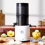 Hurom H300 Self-Feeding Slow Juicer in White