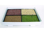Lexen Healthy Sprouter