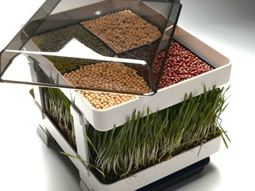 Lexen Healthy Sprouter