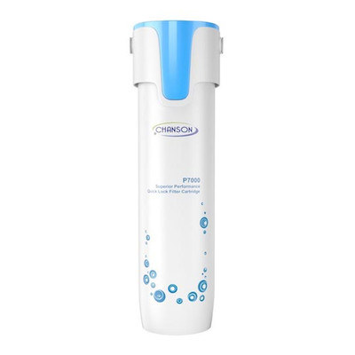Chanson P1 Ionizer Pre-Filter