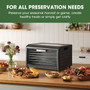 Excalibur 6 Tray Performance Digital Dehydrator in Stainless Steel (DH06SSSS33G)