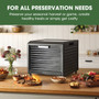 Excalibur 10 Tray Performance Digital Dehydrator in Stainless Steel (DH10SSSS33G)