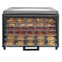 Excalibur 6 Tray Performance Digital Dehydrator in Stainless Steel (DH06SSSS33G)